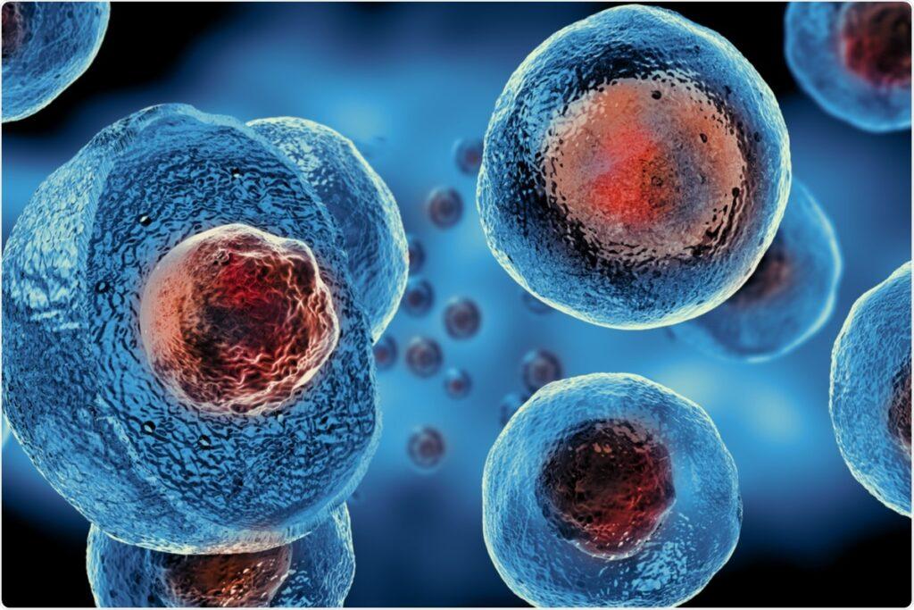 Stem Cells Therapy in Dubai